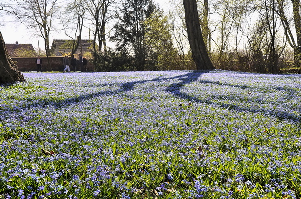 Fruehling2012   046.jpg